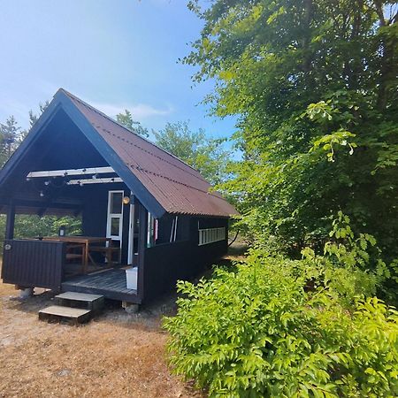 Tranum Klit Camping Og Hytteudlejning Brovst Exteriér fotografie